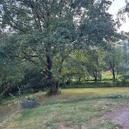 Apartmán Small Budget Traveler's Two-room