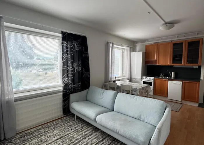 公寓 Small Budget Traveler's Two-room Enonkoski