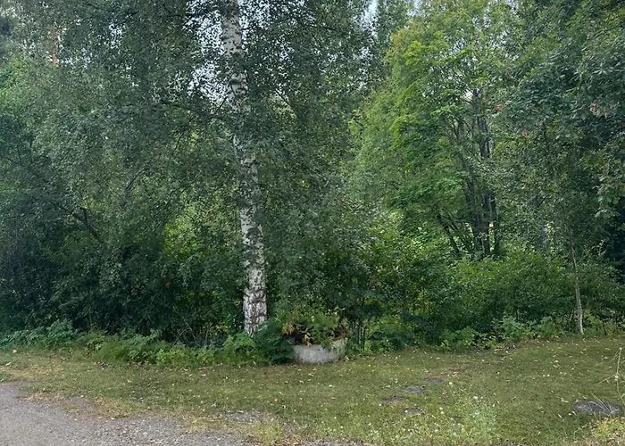 Small Budget Traveler's Two-room 公寓 Enonkoski