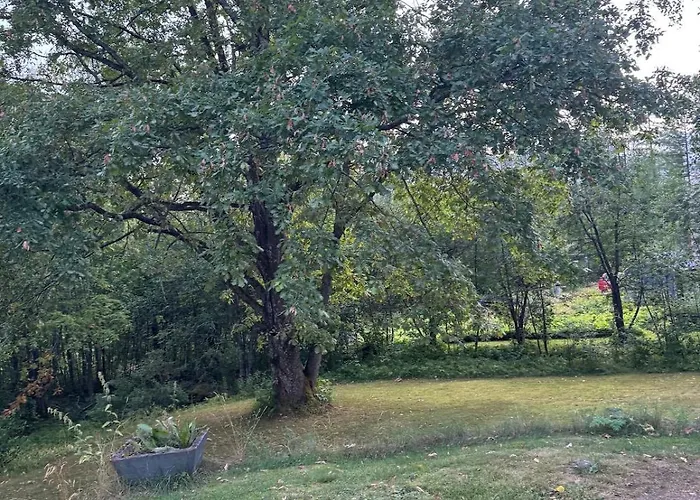 公寓 Small Budget Traveler's Two-room